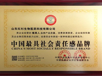 中国最具社会责任感品牌